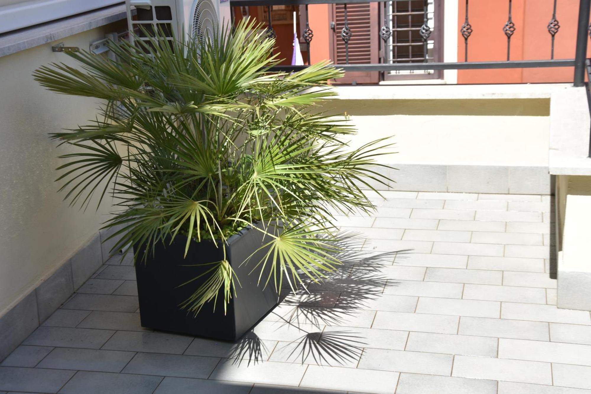 Diasof Apartments Rome Buitenkant foto